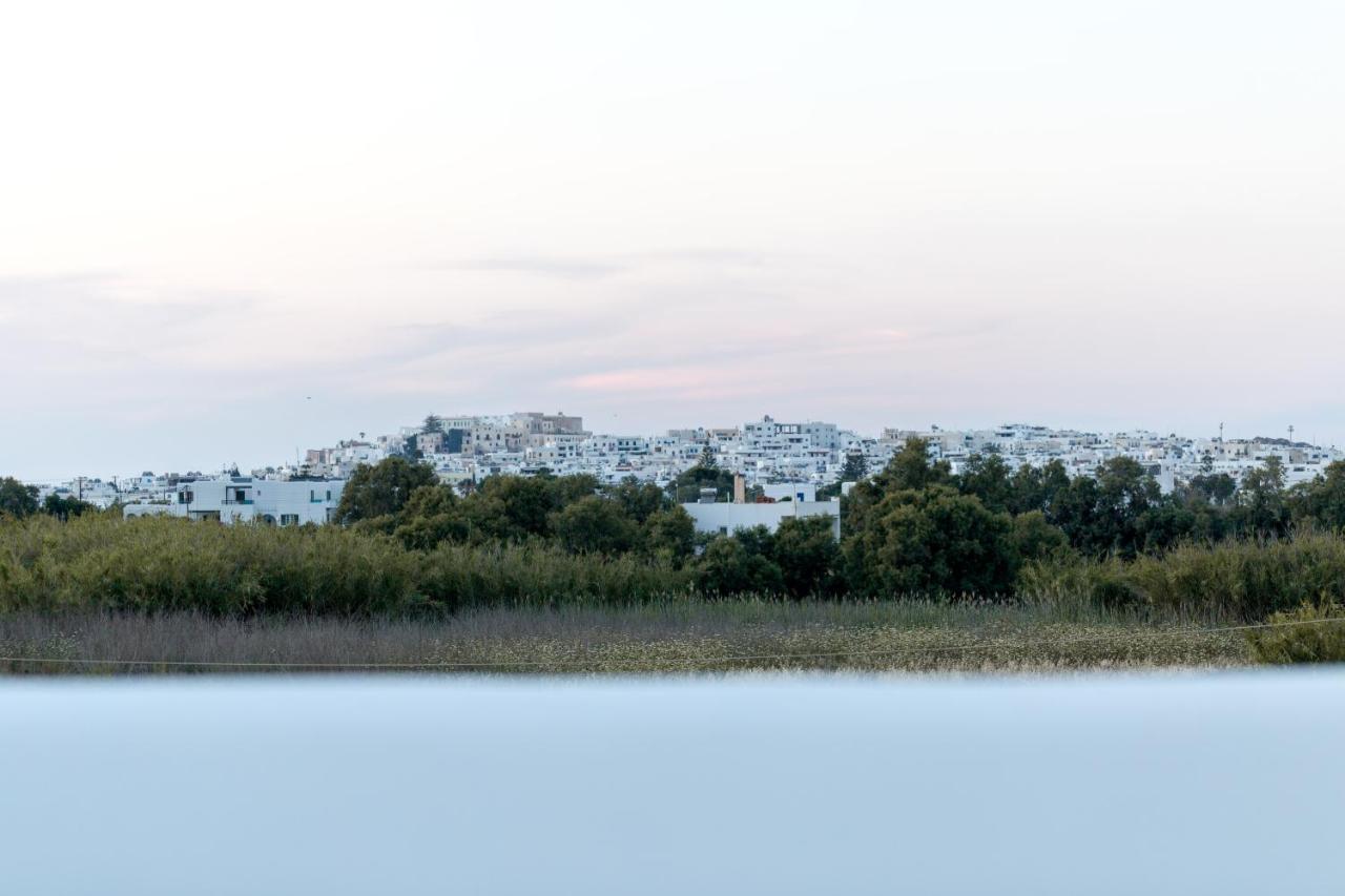 Isalos Villas Naxos Naxos City Zewnętrze zdjęcie